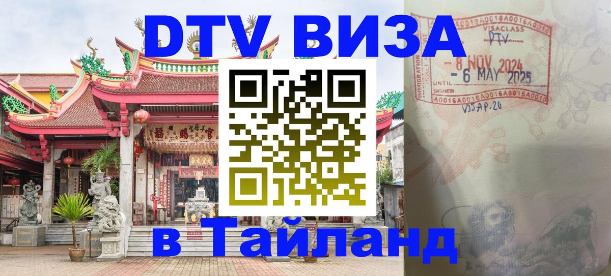 Оформление DTV визы под ключ: стоимость и тарифы, только загранпаспорт - Энгельс  03.10.2025 
